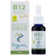 VITAMINA B12 FAMILY VEGGUNN 30 ML