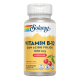 SOLARAY VITAMINA B12 CON ACIDO FOLICO 1000 MCG 90 COMPRIMIDOS SUBLINGUALES