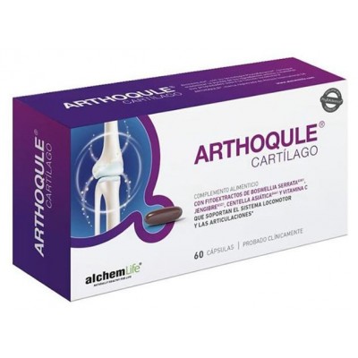 Comprar ALCHEMLIFE FLEXIQULE MOBILITY 60 CAPSULAS al mejor precio en NuestraFarma, tu farmacia online