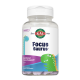 KAL FOCUS SAURUS 30 COMPRIMIDOS MASTICABLES SABOR UVA