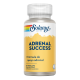 SOLARAY ADRENAL SUCCESS 60 CAPSULAS VEGETALES