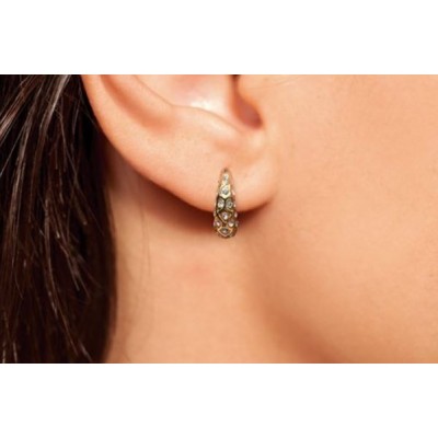 Comprar BIOJOUX PENDIENTES PEONY 16 MM BJT290 1 PAR al mejor precio en NuestraFarma, tu farmacia online