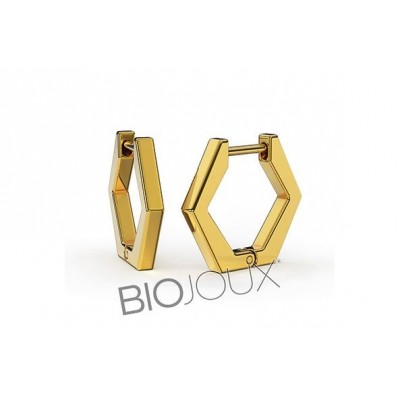Comprar BIOJOUX PENDIENTES SOLEDAD 17 MM BJT319 1 PAR al mejor precio en NuestraFarma, tu farmacia online