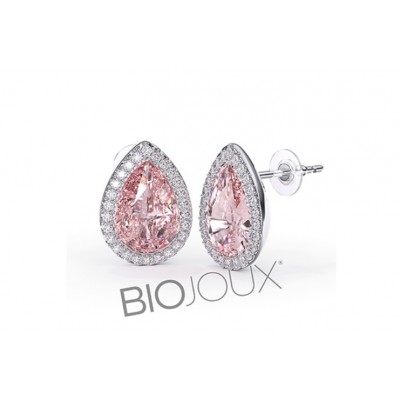 Comprar BIOJOUX PENDIENTES AILE ROSE 10X14 MM BJT301 1 PAR al mejor precio en NuestraFarma, tu farmacia online
