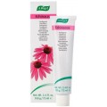 A. VOGEL ECHINACEA DENTIFRICO 100 G