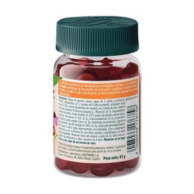 Comprar KNEIPP NATURKIND NIÑOS MULTIVITAMINAS 30 GUMMIES SABOR FRESA al mejor precio en NuestraFarma, tu farmacia online