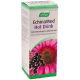 ECHINAMED HOT DRINK CONCENTRADO PARA SOLUCION ORAL 1 FRASCO 100 ml