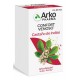 CASTAÑO DE INDIAS ARKOPHARMA 275 MG 45 CAPSULAS
