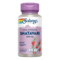 SOLARAY SHATAVARI 500 MG 60 CAPSULAS VEGETALES