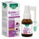 ECHINAID GOLA SPRAY 20 ML