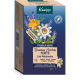 KNEIPP BUENAS NOCHES FORTE CON MELATONINA INFUSION 20 BOLSITAS