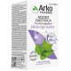ARKOCAPSULAS ACIDEZ GASTRICA CONFORT DIGESTIVO 40 CAPSULAS
