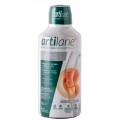 ARTILANE CLASSIC BOTELLA 900 ML