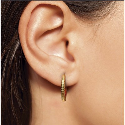 Comprar BIOJOUX PENDIENTES QUEEN ANNE 18 MM BJT385 1 PAR al mejor precio en NuestraFarma, tu farmacia online