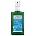 WELEDA DESODORANTE SALVIA SPRAY 100 ML