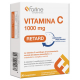 FARLINE VITAMINA C 1000 MG RETARD 30 COMPRIMIDOS