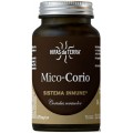 HIFAS DA TERRA MICO-CORIO 70 CAPSULAS