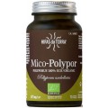 HIFAS DA TERRA MICO-POLYPOR 70 CAPSULAS