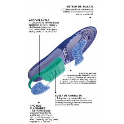 Comprar FARMALASTIC PLANTILLAS DAY ACTIVIDAD DIARIA 2 UNIDADES TALLA L al mejor precio en NuestraFarma, tu farmacia online