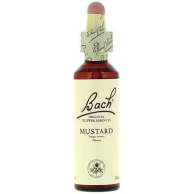 Comprar FLORES DE BACH FLOR DE BACH 21 MUSTARD 20 ML al mejor precio en NuestraFarma, tu farmacia online