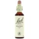 FLORES DE BACH FLOR DE BACH 14 HEATHER 20 ML