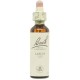 FLORES DE BACH FLOR DE BACH 19 LARCH 20 ML