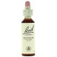 FLORES DE BACH FLOR DE BACH 04 CENTAURY 20 ML