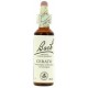 FLORES DE BACH FLOR DE BACH 05 CERATO 20 ML