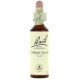 FLORES DE BACH FLOR DE BACH 06 CHERRY PLUM 20 ML