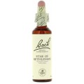 FLORES DE BACH FLOR DE BACH 29 STAR OF BETHLEHEM 20 ML