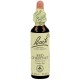 FLORES DE BACH FLOR DE BACH 25 RED CHESTNUT 20 ML