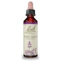 FLORES DE BACH FLOR DE BACH 34 WATER VIOLET 20 ML