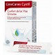 GINECANES CYSTIL CONFORT DE LAS VÍAS URINARIAS 14 SOBRES