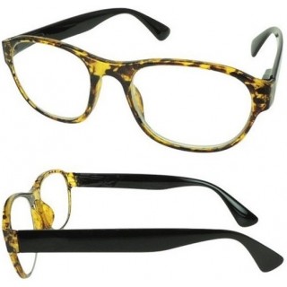 VITRY GAFAS PRESBICIA CARTEL PARIS IGUAZU LPY +1,00 1 UNIDAD