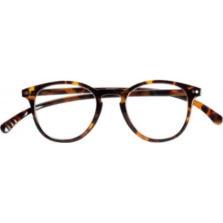 VITRY GAFAS PRESBICIA CARTEL PARIS OXFORD L18A +3,50 1 UNIDAD