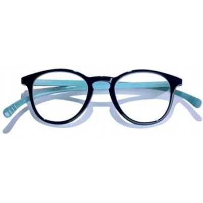 Comprar VITRY GAFAS PRESBICIA CARTEL PARIS BRIGHTON L26A +2,50 1 UNIDAD al mejor precio en NuestraFarma, tu farmacia online