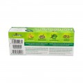 BOIRON HOMEODENT CUIDADO DIENTES Y ENCIAS PASTA DENTIFRICA SABOR CLOROFILA 75 ML