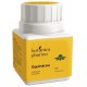 BOTANICAPHARMA EQUINACEA 500 MG 60 COMPRIMIDOS