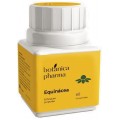 BOTANICAPHARMA EQUINACEA 500 MG 60 COMPRIMIDOS