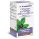 CASCARA SAGRADA ARKOPHARMA 250 MG 50 CAPSULAS