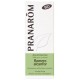 PRANAROM ACEITE ESENCIAL BIO ROMERO ALCANFOR 10 ML