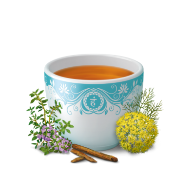 Comprar YOGI TEA BIOLOGICO VOZ CLARA 17 BOLSITAS al mejor precio en NuestraFarma, tu farmacia online