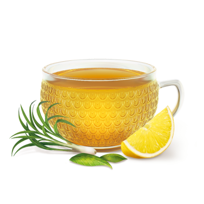 Comprar YOGI TEA BIOLOGICO ABSOLUTO PLACER PARA LOS SENTIDOS 20 BOLSITAS al mejor precio en NuestraFarma, tu farmacia online
