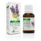 ACEITE ESENCIAL DE LAVANDA SORIA NATURAL 15 ML