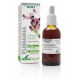 FUMARIA EXTRACTO S.XXI SORIA NATURAL 50 ML