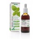 MELISA EXTRACTO S.XXI SORIA NATURAL 50 ML