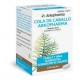 COLA DE CABALLO ARKOPHARMA 190 MG 100 CAPSULAS
