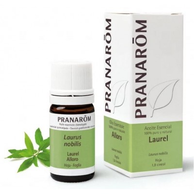 Comprar PRANAROM ACEITE ESENCIAL LAUREL 5 ML al mejor precio en NuestraFarma, tu farmacia online