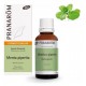 PRANAROM MENTA PIPERITA ACEITE ESENCIAL BIO 30 ML