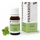 PRANAROM PATCHULI ACEITE ESENCIAL BIO 10 ML